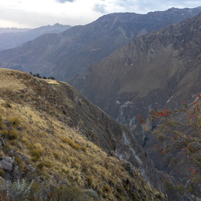 Uitzicht over de Colca Canyon in Peru met steile bergwanden en een diepe kloof tijdens een groepsrondreis Peru.