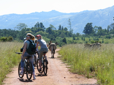 Fietstocht door natuurgebied in Zuid-Afrika langs zebra’s, met bergen op de achtergrond.