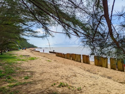 Zandstrand met kustbomen en golfbrekers aan zee tijdens de route Kalimantan.