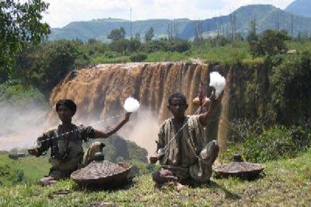 Groepsrondreis Ethiopië: traditionele dorpswoningen met rieten daken in groen landschap.