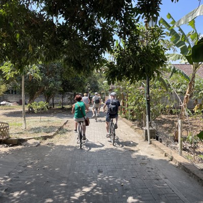 Fietstocht door het dorp Candirejo langs tuinen en bananenbomen tijdens Puur Sawadee-excursie.