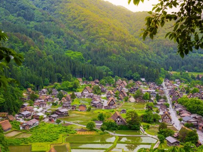 Uitzicht op Shirakawa-go met traditionele gassho-zukuri huizen tussen rijstvelden en groene bergen in Japan.