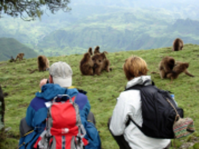 Wandelaars bekijken gelada’s in het Simiengebergte tijdens de Route Ethiopië 29 dagen.