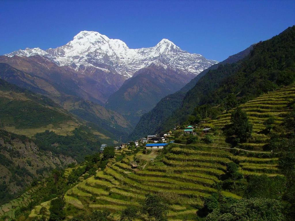 Terrasvelden en bergdorp in Nepal met besneeuwde Himalaya op de achtergrond, Annapurna Basecamp trektocht.