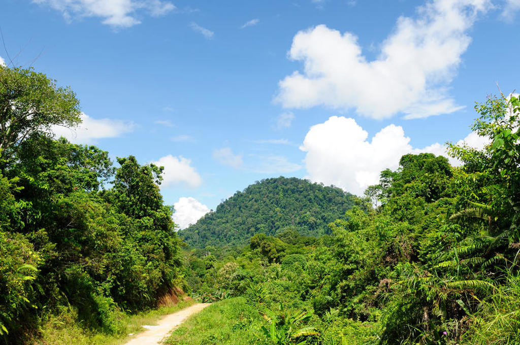 main_Kalimantan__2_.jpg