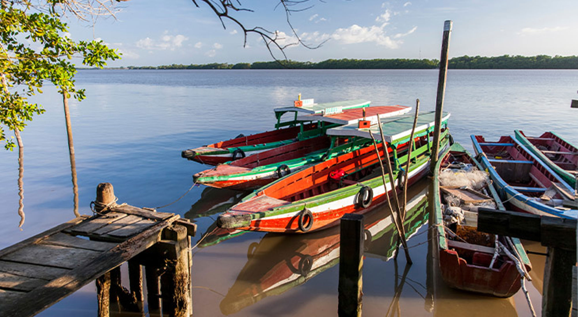 Surinamerivier Kleurrijke houten boten aangemeerd aan een steiger op een rustige rivier, met mangrovebos op de achtergrond.