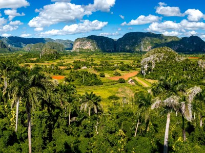 Panorama over de Viñales-vallei in Cuba met palmbomen, groene velden en kalkstenen mogotes onder blauwe lucht.