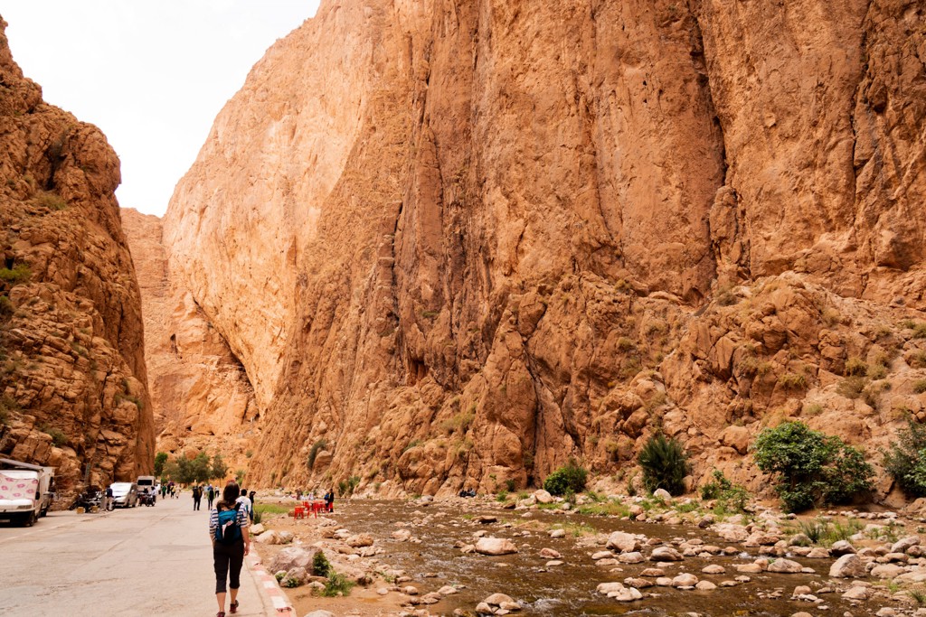 Wandelaars in de Todra-kloof met hoge rotswanden en rivier, tijdens familiereis Marokko hoogtepunten.