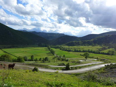 Groene vallei met slingerende weg en bergen langs de Route Albanië.