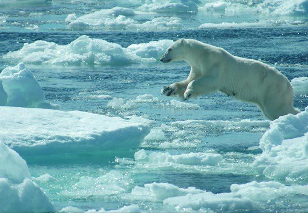 Groepsrondreis van IJsland naar Groenland en Spitsbergen: panoramisch uitzicht op fjord met bergen en water.