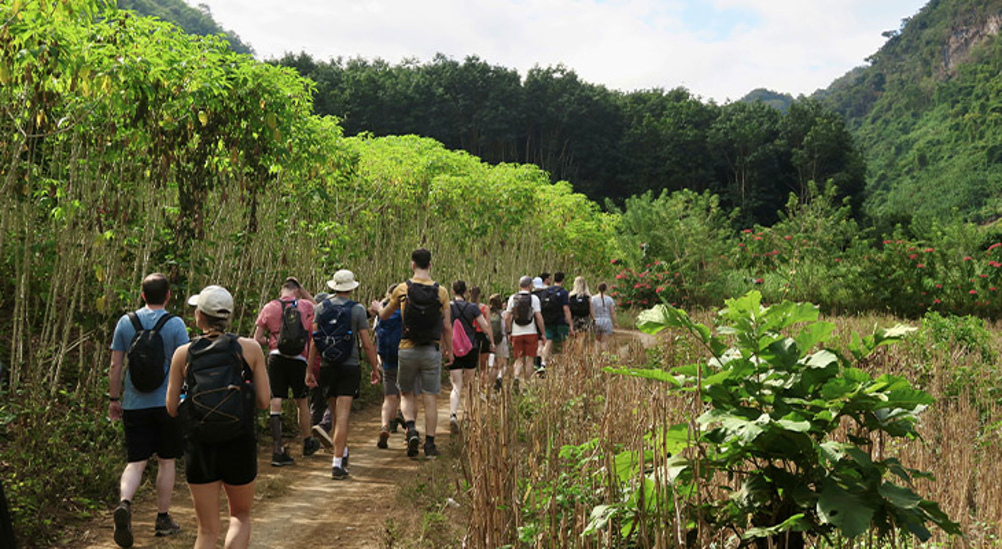 Wandeling Noord-Laos Groep wandelaars op een pad door groene velden met heuvels en bos op de achtergrond.