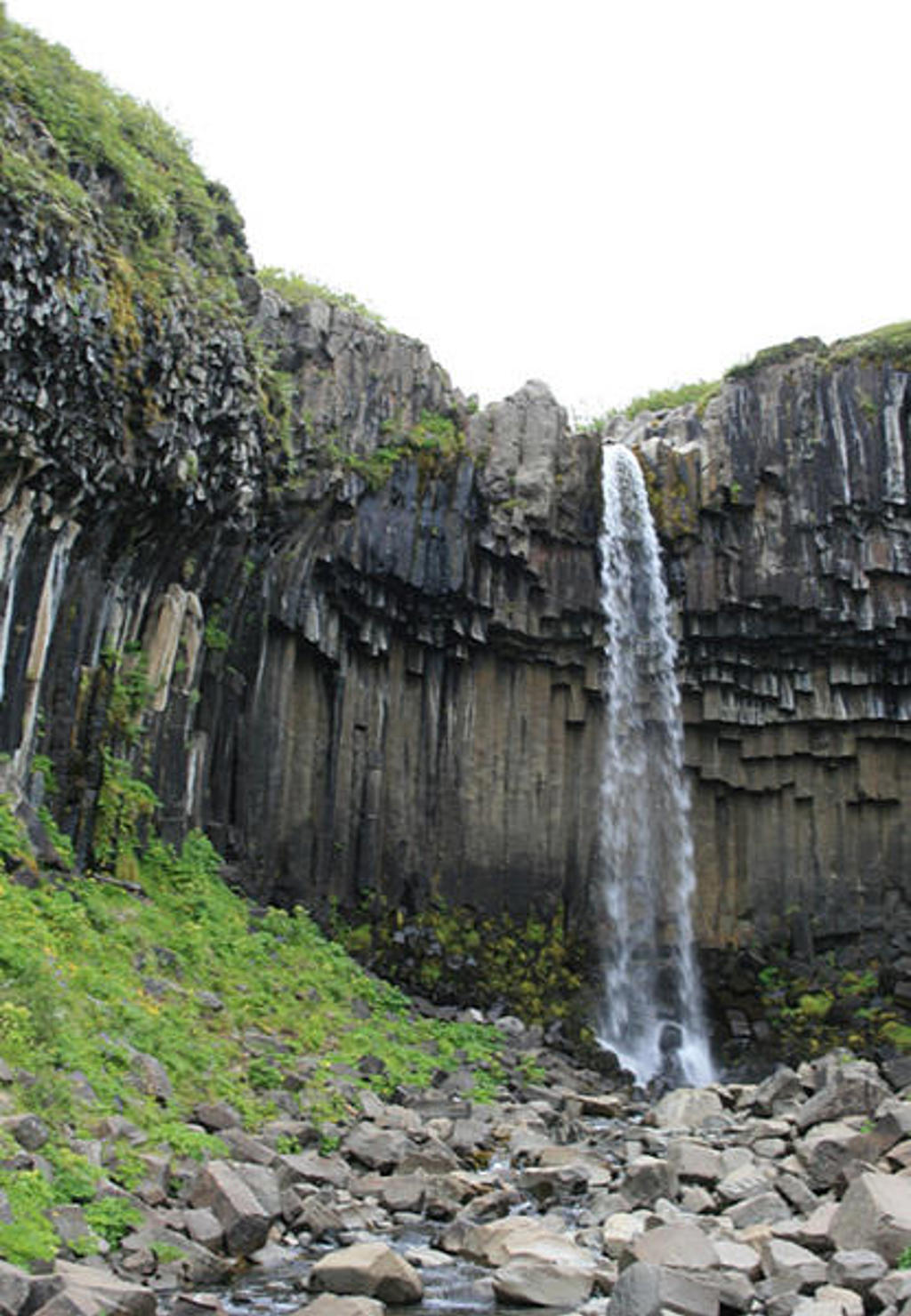 Waterval langs basaltkliffen in het ruige landschap van IJsland tijdens een familiereis.