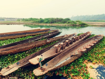 Houten kano’s aan de oever van een rivier in Noord-India, met drijvende waterplanten en groen op de achtergrond.