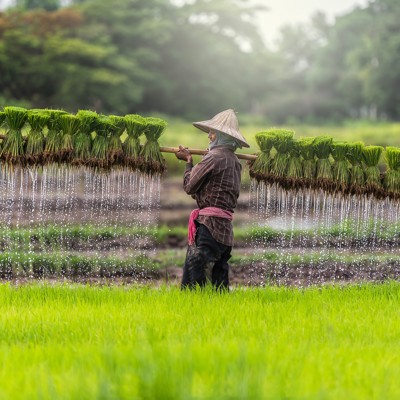 Familiereis Thailand, Laos en Cambodja