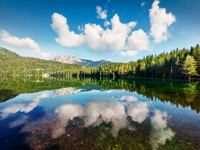 Spiegelglad bergmeer in Nationaal Park Durmitor, met dennenbossen en wolkenreflectie in het water.