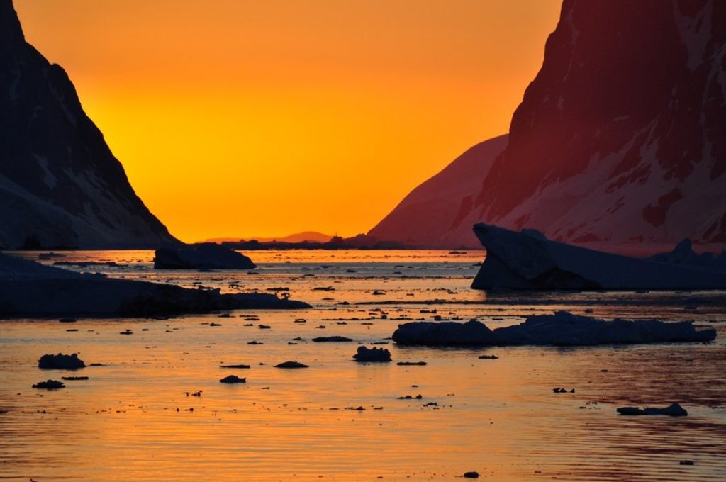 Koningspinguïns in de sneeuw tijdens een groepsrondreis Antarctica, South Georgia en de Poolcirkel.