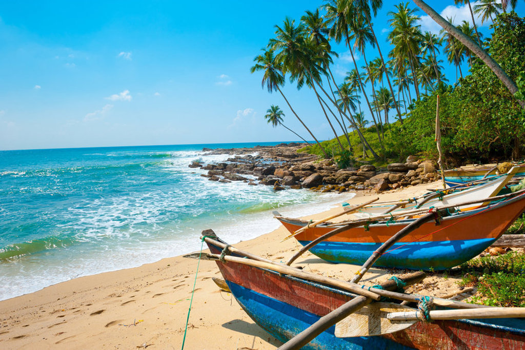Traditionele vissersboten op een palmenstrand aan de kust van Sri Lanka tijdens de groepsrondreis hoogtepunten.