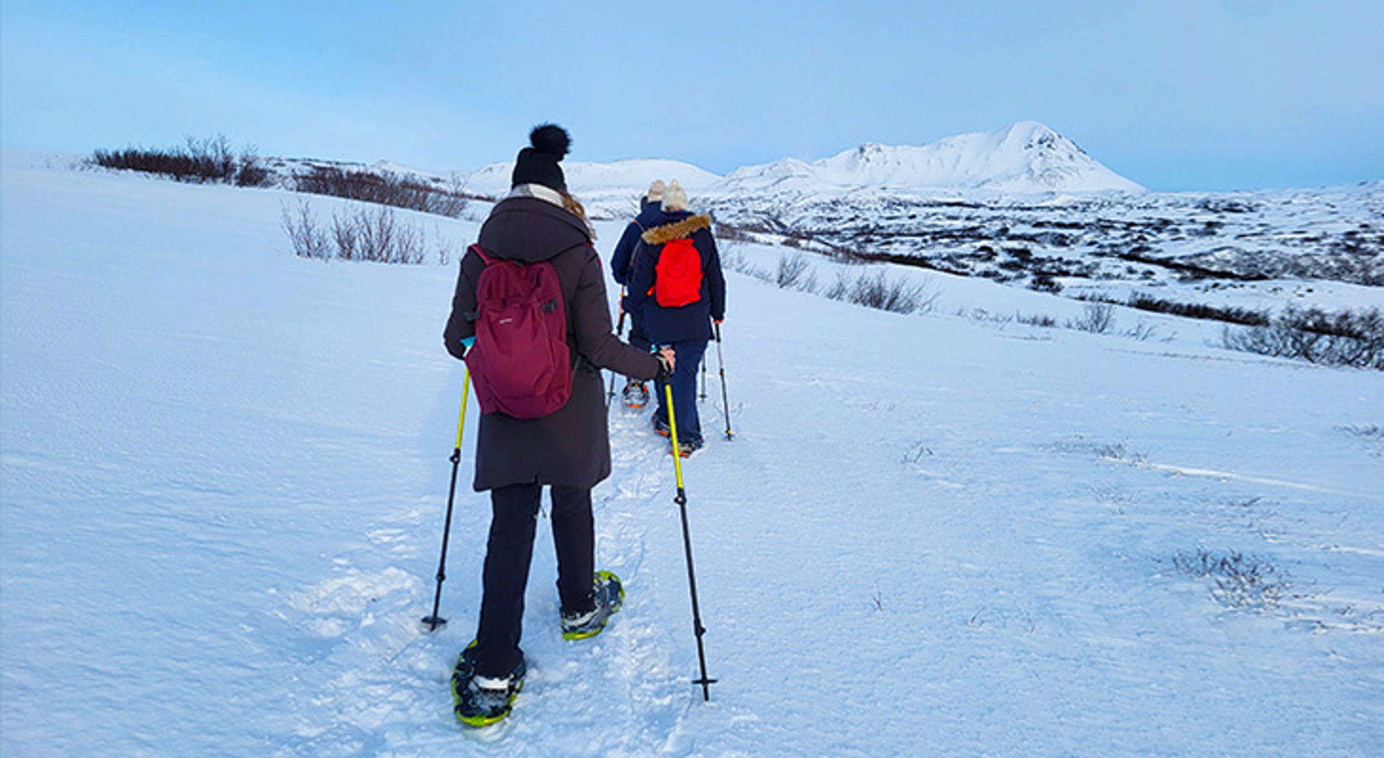 Sneewschoenwandeling Myvatn Wandelaars met sneeuwschoenen en stokken op een besneeuwd pad richting bergen.