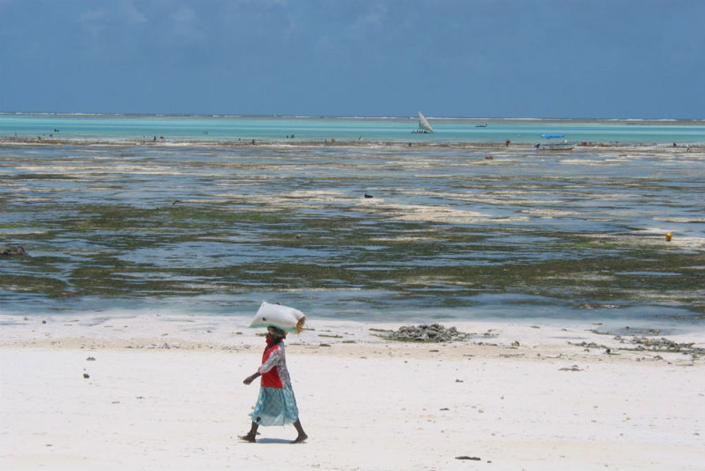 Vrouw loopt over wit strand langs ondiepe zee bij Zanzibar tijdens groepsrondreis Kenia, Tanzania en Zanzibar.