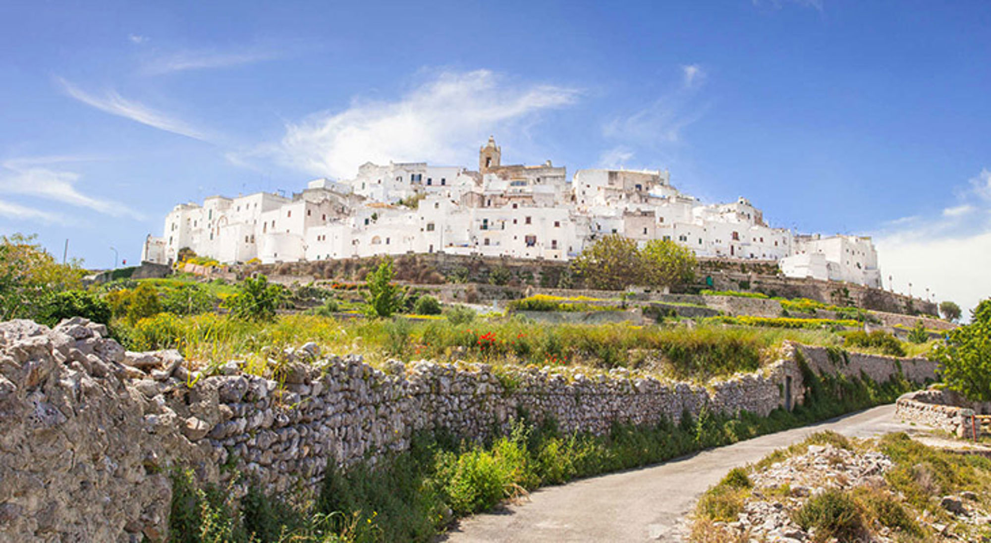 Wandelvakantie door Italië Wit heuveldorp Ostuni in Puglia met stenen muurtjes en groen landschap onder een blauwe lucht.