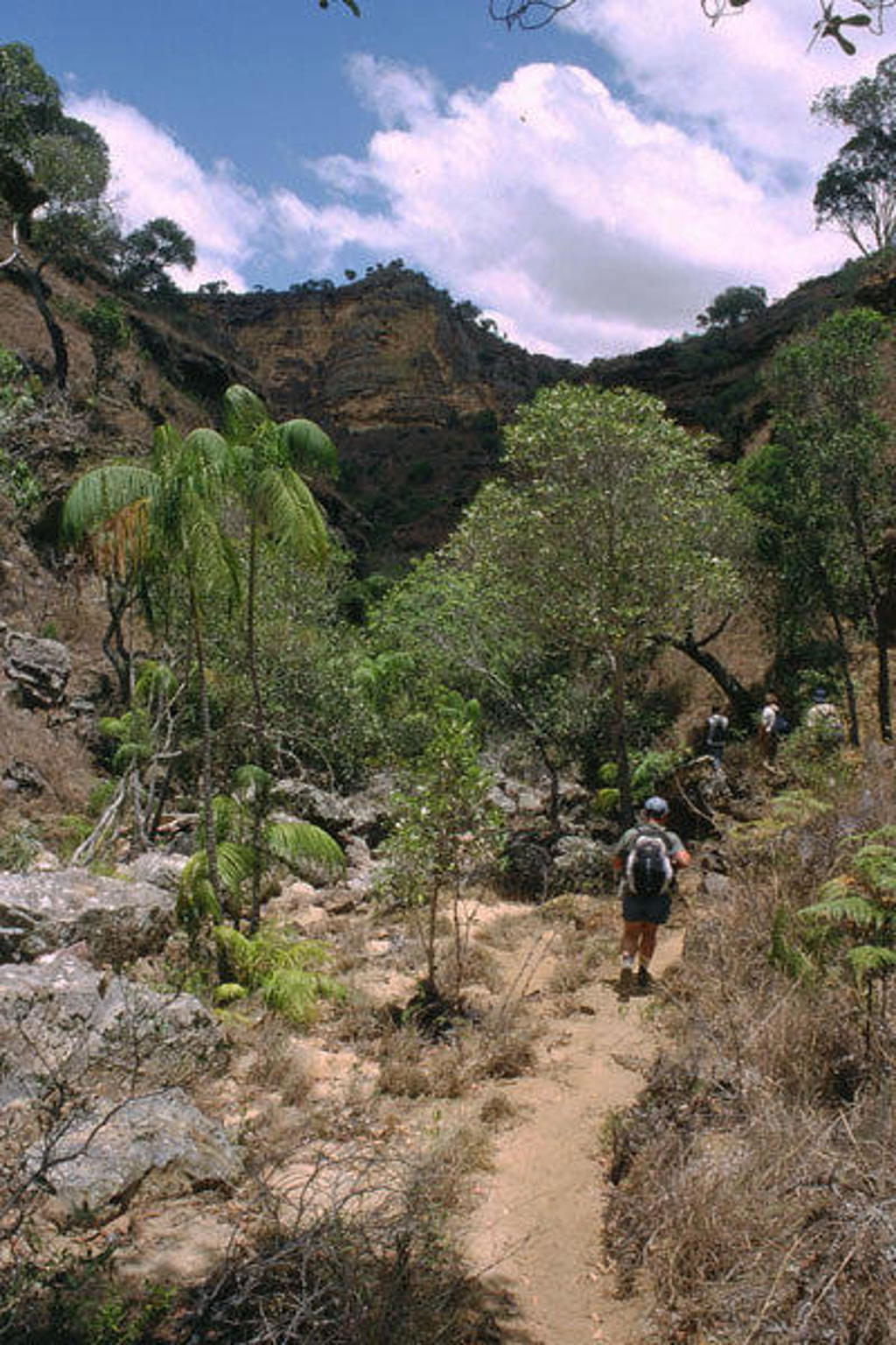Wandelaars op een bergpad door rotsachtig landschap met palmen tijdens een familiereis in Madagascar.