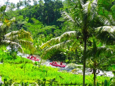 Raften op een rivier tussen palmbomen en rijstvelden op de route Java en Bali.