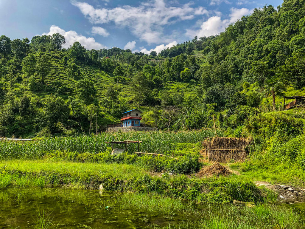 Groene heuvels met terrassen en een huisje in het Nepalese landschap tijdens een familiereis Nepal.