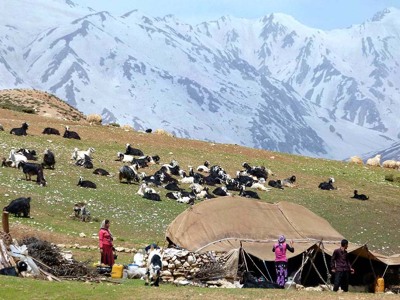 Nomadentent met geitenkudde in bergweide, met besneeuwde toppen op de achtergrond in Iran.