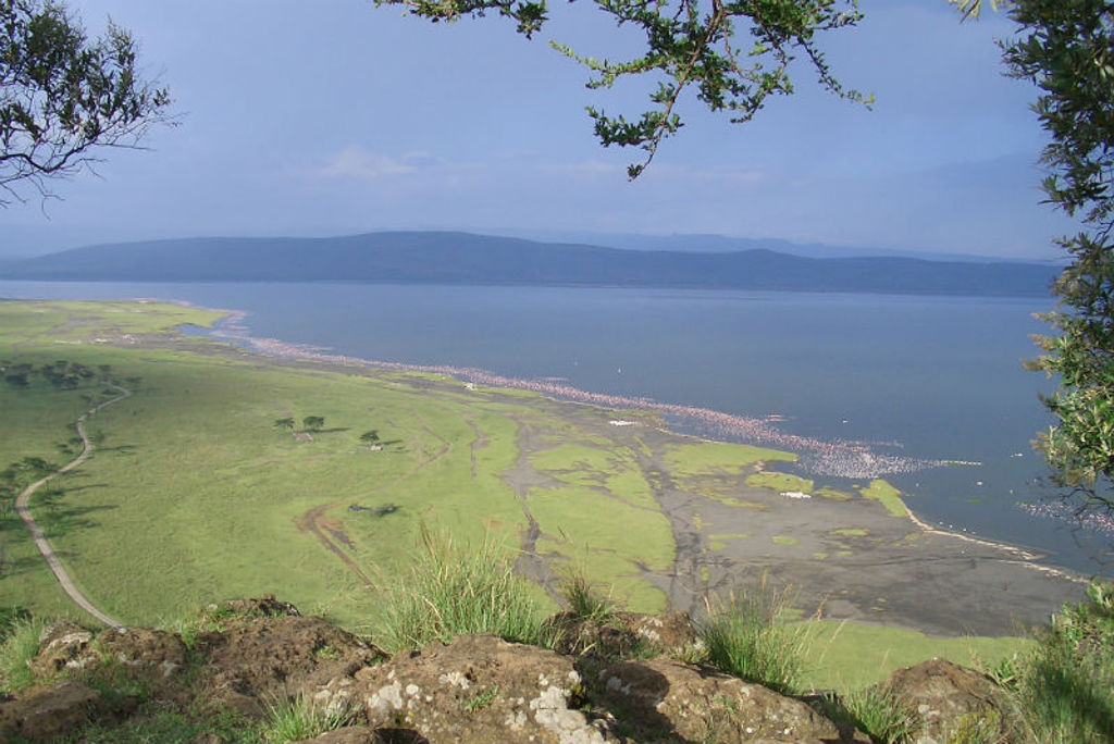 Uitzicht over Lake Nakuru en de groene savanne in Kenia tijdens een groepsrondreis.