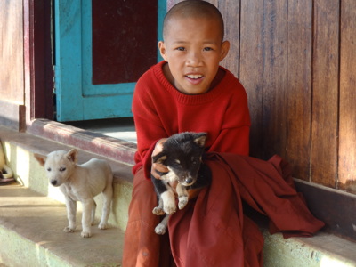 Jonge monnik in Myanmar met twee puppy’s bij een houten huis tijdens de Route Birma/Myanmar reis, 25 dagen.