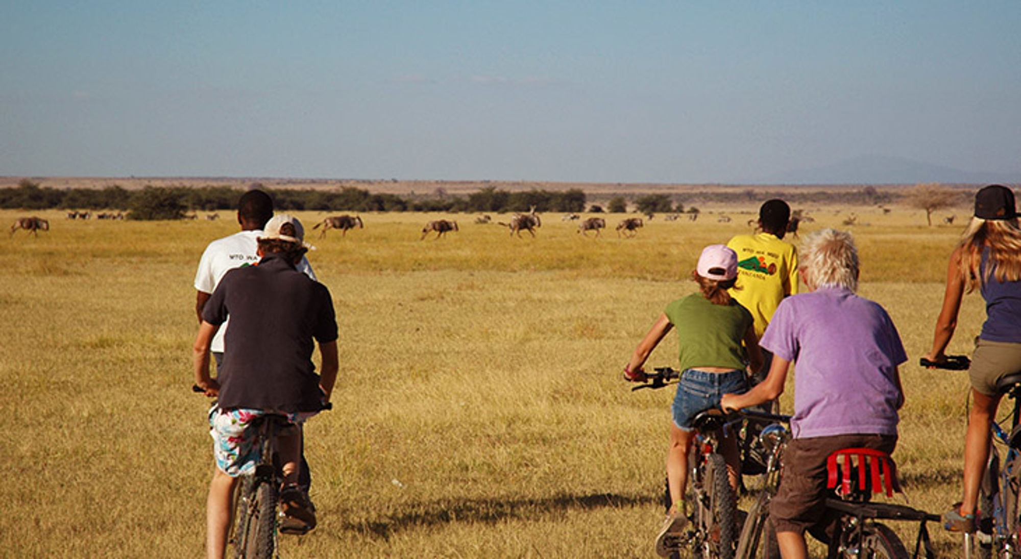 Fietssafari met groep fietsers over de savanne, met zebra’s en gnoes in de verte.