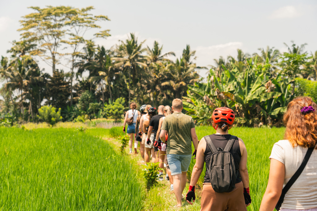 Groep 22-35ers wandelt door rijstvelden op Bali tijdens rondreis Indonesië.