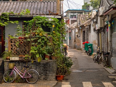 Smalle hutong-steeg in Beijing met traditionele huizen, klimplanten en fietsen langs de straat.