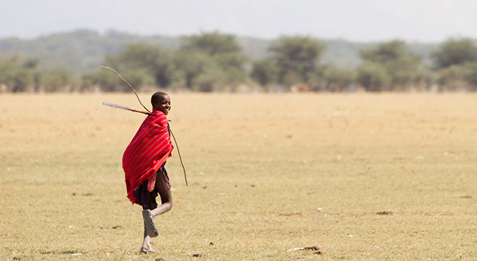 Masai-jongen rent over de savanne in Tanzania met rode shuka en speer.