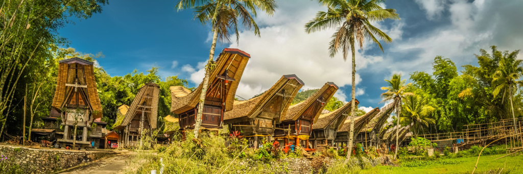 Traditionele Tongkonan-huizen in Toraja, Sulawesi, tussen palmbomen en rijstvelden.