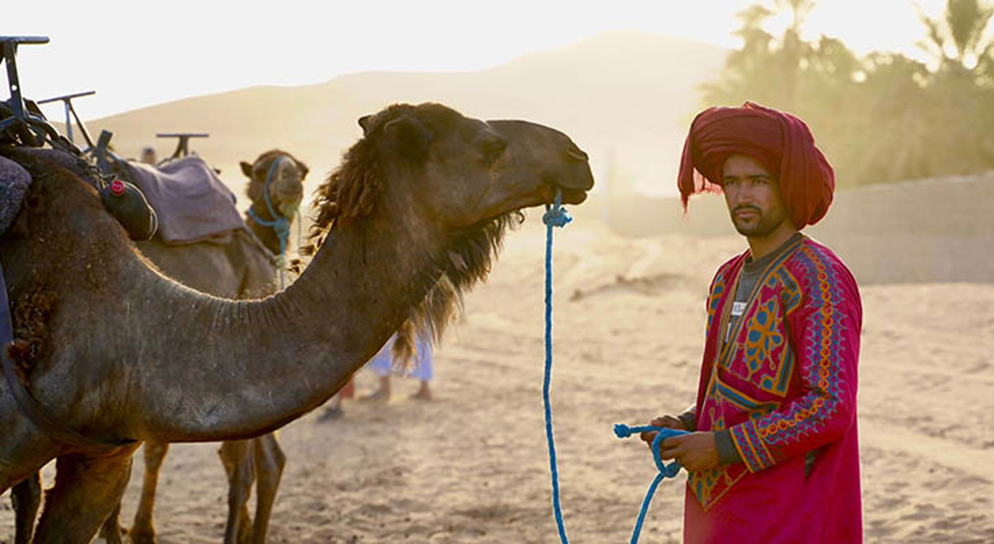 Sahara Marokko kameel Kamelen met begeleider in traditionele kleding in de woestijn van Marokko.