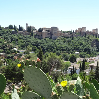 Uitzicht op het Alhambra in Granada met cactussen op de voorgrond tijdens een groepsrondreis door Andalusië.