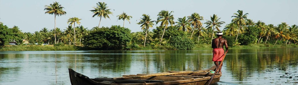 Bootman vaart over de backwaters van Zuid-India langs palmbomen.