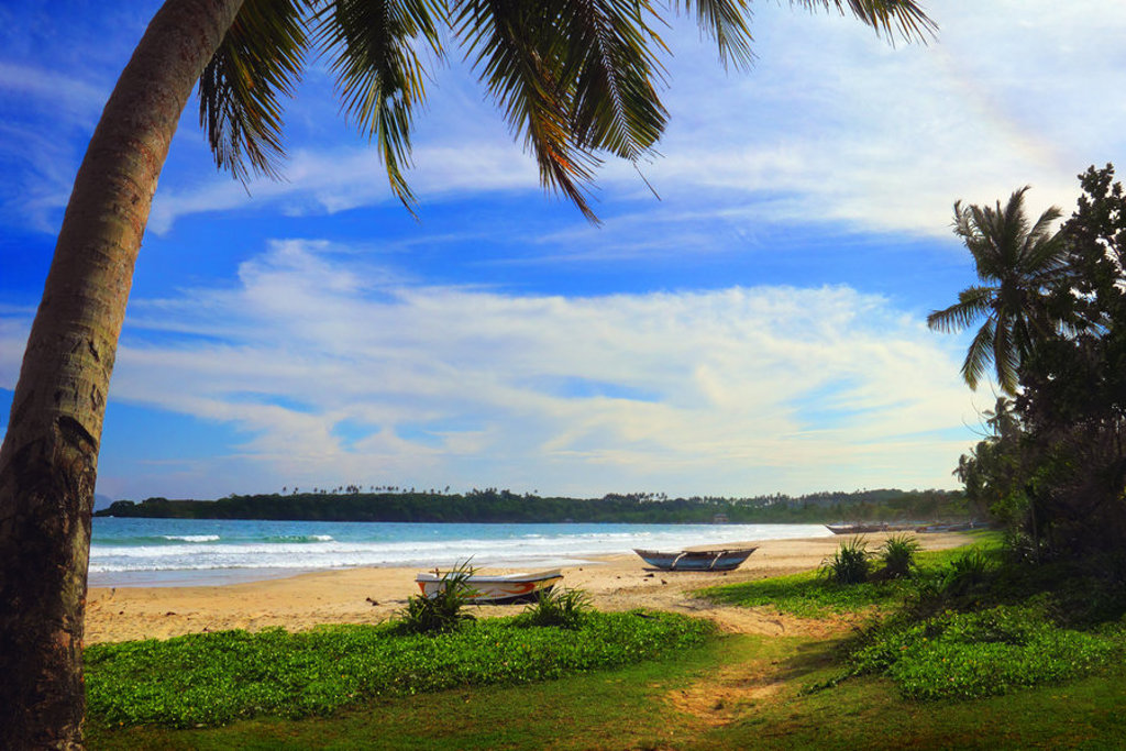 Tropisch strand in Sri Lanka met palmbomen, vissersbootjes en blauwe lucht.