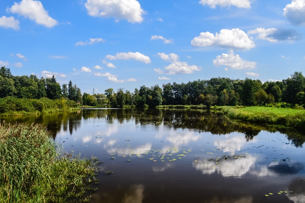 Rustige rivier in Polen met waterlelies, groene oevers en wolkenlucht.