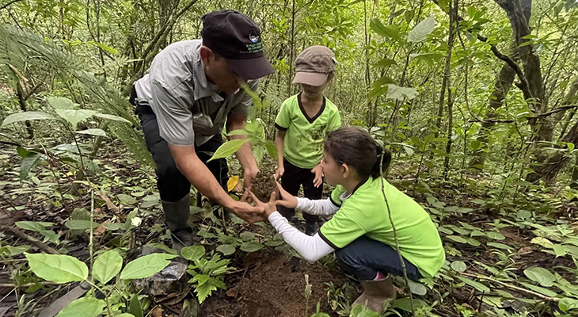 Children’s Eternal Rainforest Boswachter helpt kinderen een jonge boom te planten in het regenwoud.