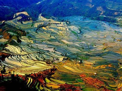 Terrasvormige rijstvelden in de bergen van China, onderdeel van de Route China & Vietnam (20 dagen).