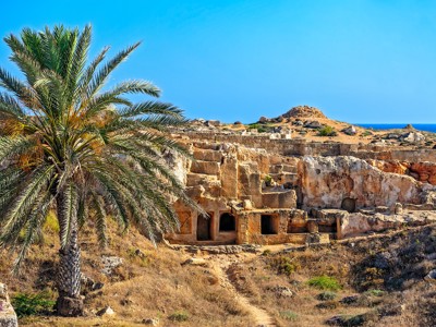 Ruïnes van een oud stenen complex aan de kust van Cyprus, met palmboom en uitzicht op zee.