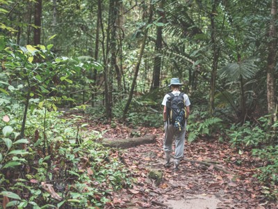 Wandelaar met rugzak op junglepad tijdens de Route Maleisisch Borneo.