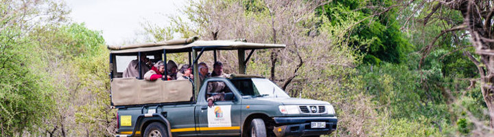 Safari-jeep met reizigers in Zuid-Afrika, rijdend door een natuurgebied.