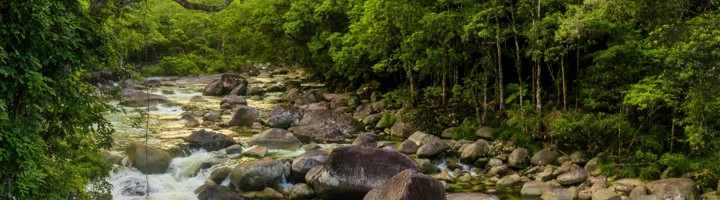 Rivier met grote rotsblokken in het regenwoud van Mossman Gorge, Australië.