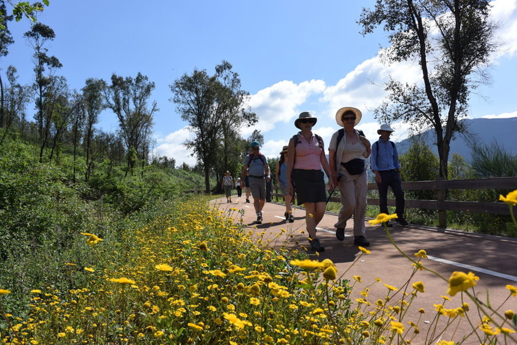 Wandelaars op een zonnig pad met wilde bloemen in de Douro Vallei, Portugal.