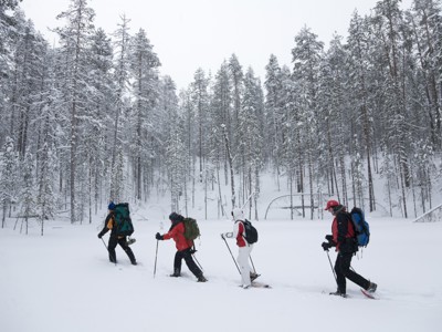 Sneeuwschoenwandeling met groep door besneeuwd bos in Lapland tijdens Route Lapland.
