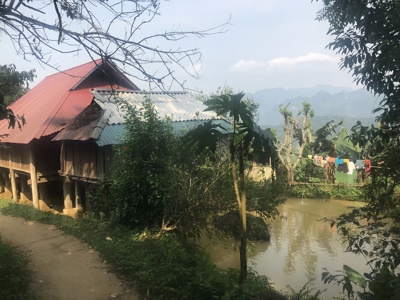 Traditioneel houten huis op palen langs een landweg, met rijstveld en bergen op de achtergrond in Vietnam.