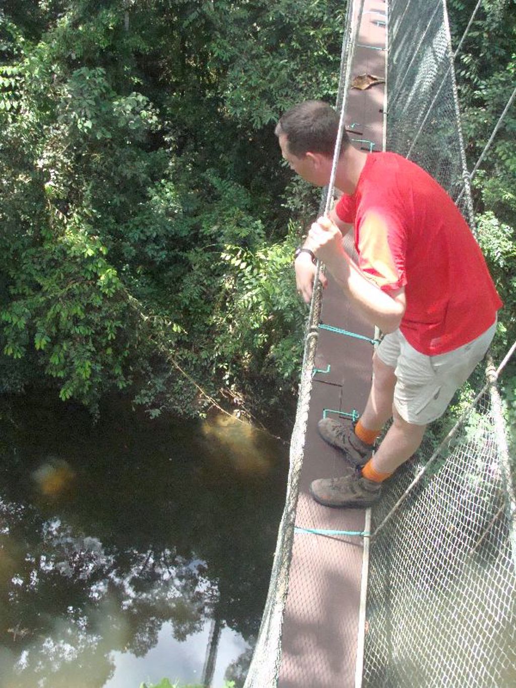 Wandelaar op hangbrug boven rivier in het regenwoud tijdens rondreis Maleisië Hoogtepunten.